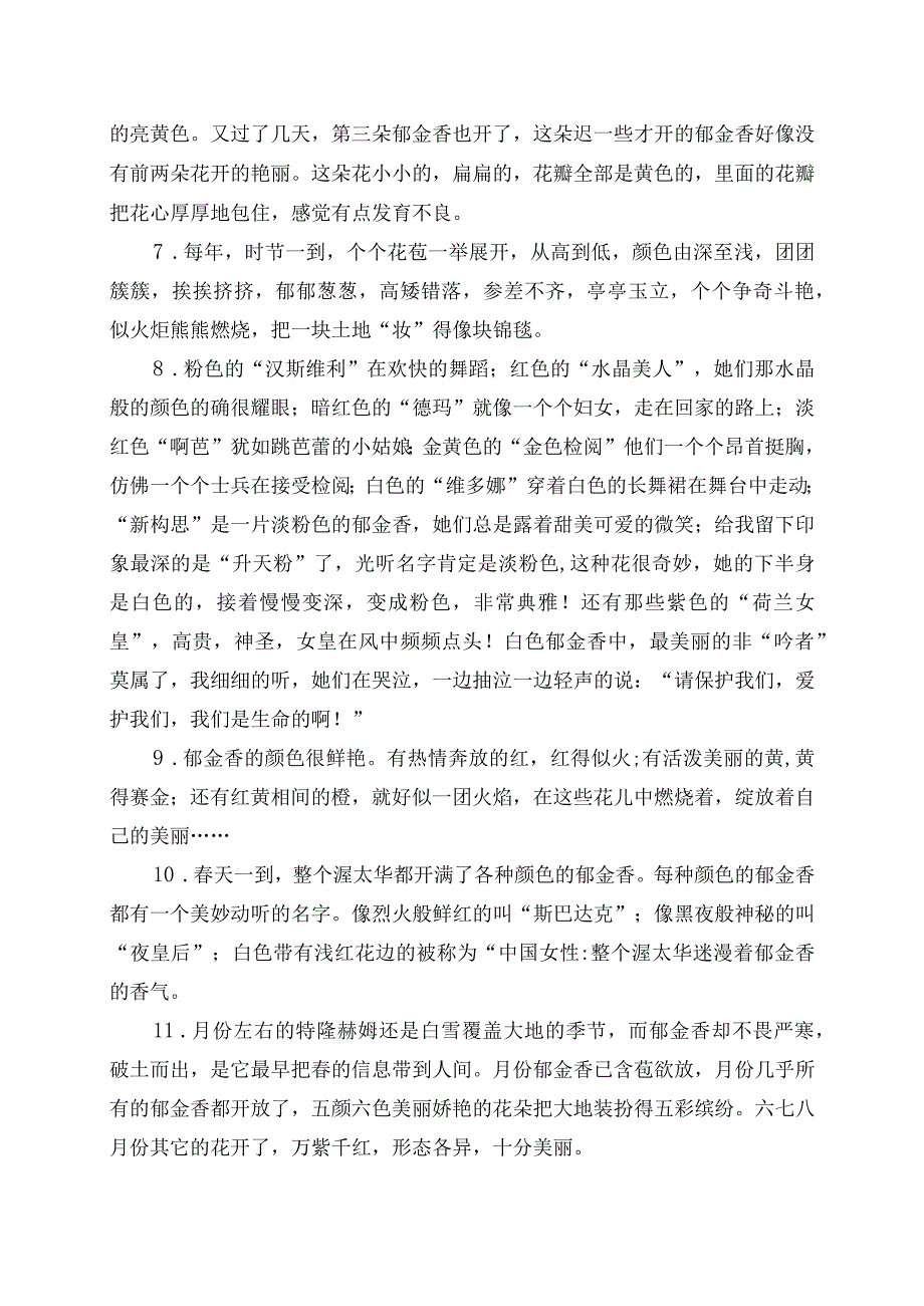 描写郁金香的优美段落摘录.docx_第2页