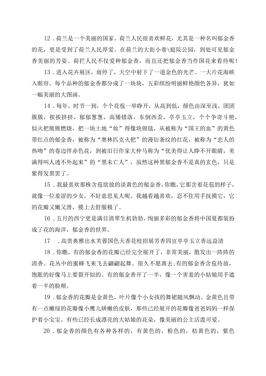 描写郁金香的优美段落摘录.docx_第3页