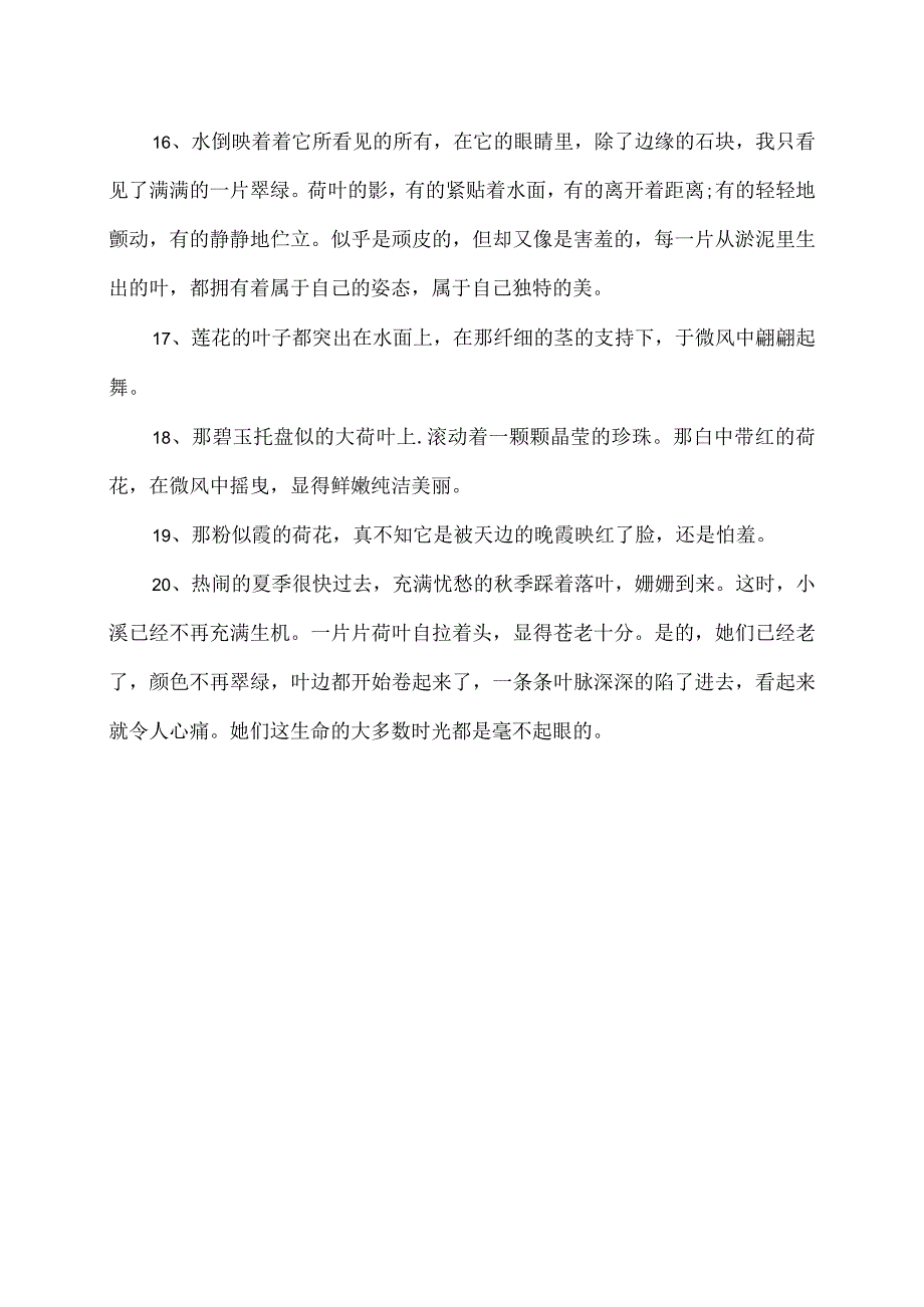 描写荷叶的优美句段摘录.docx_第3页