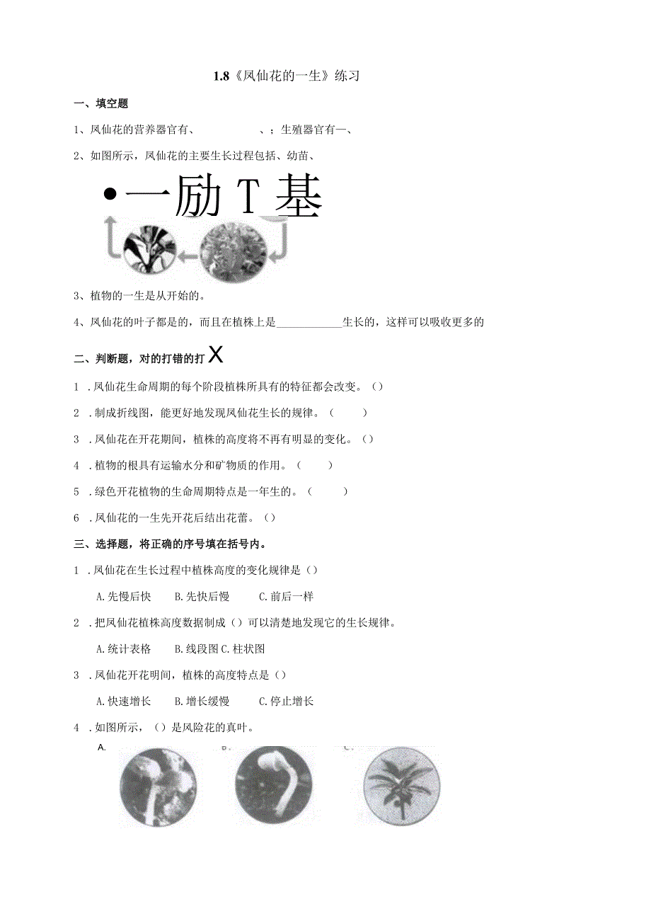 教科版四年级科学下册18凤仙花的一生作业设计.docx_第1页