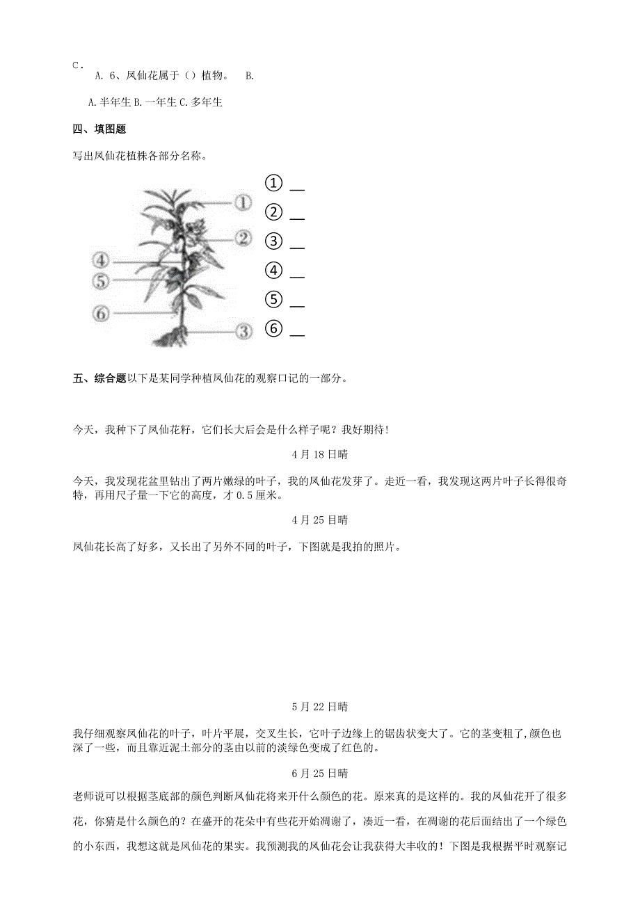 教科版四年级科学下册18凤仙花的一生作业设计.docx_第3页