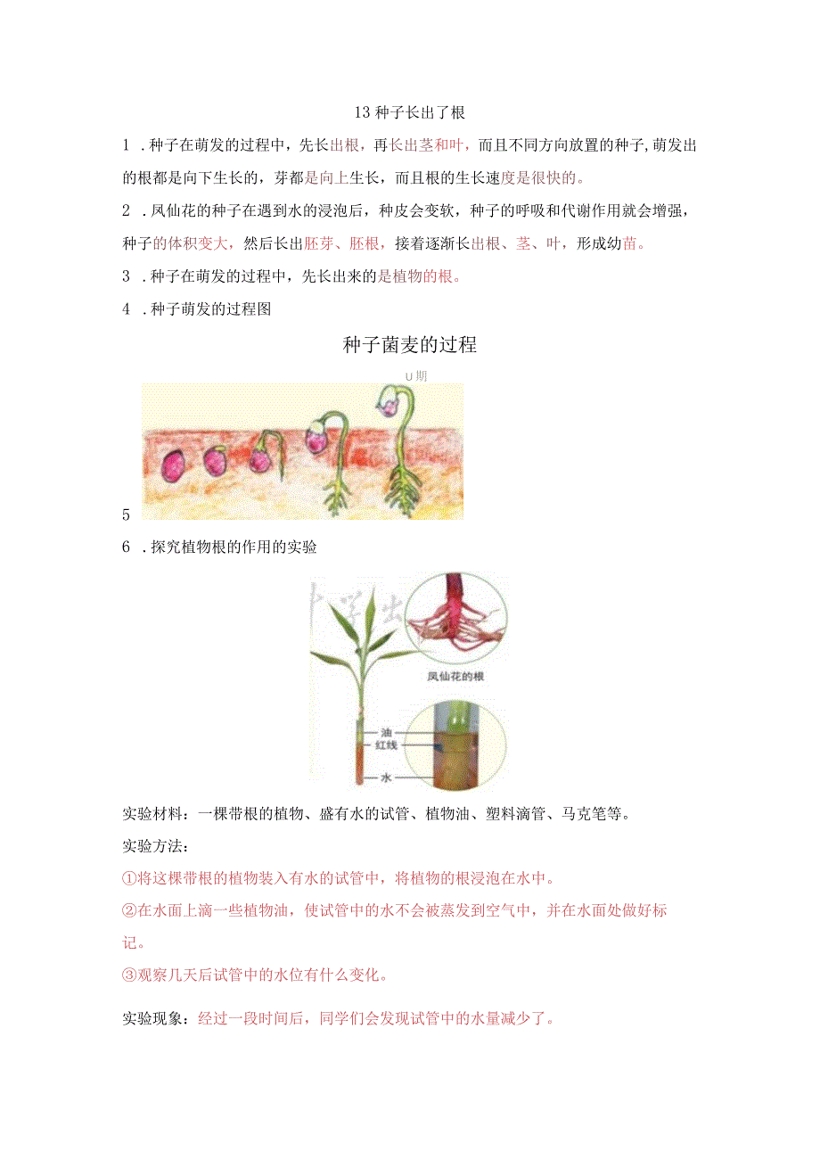 教科版四年级科学下册13种子长出了根知识点总结.docx_第1页