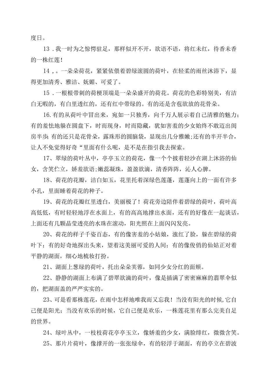 描写荷花的优美句段摘录(1).docx_第2页