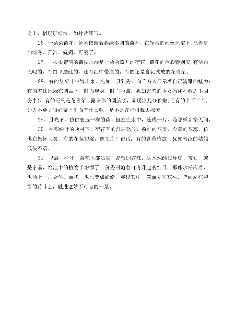 描写荷花的优美句段摘录(1).docx_第3页