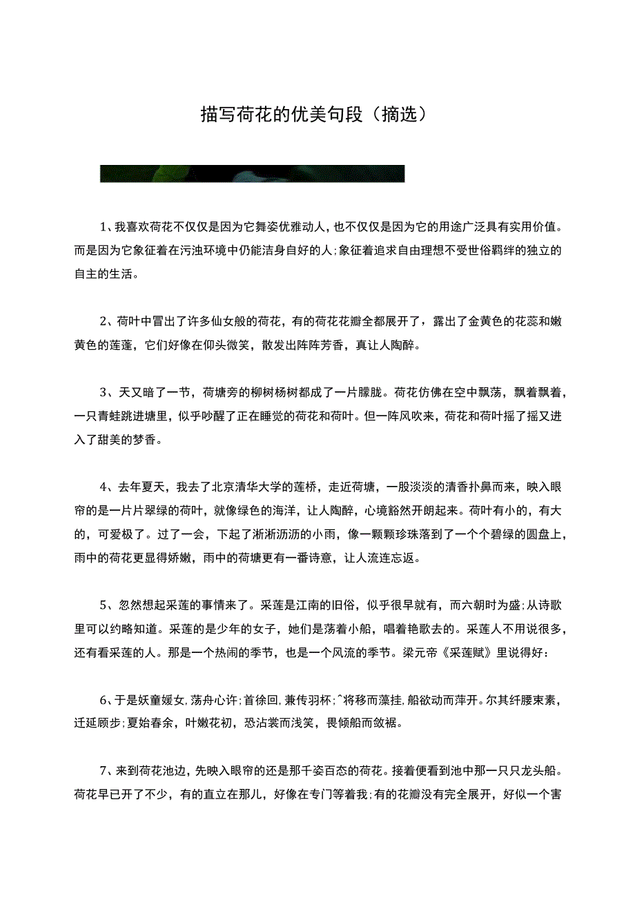 描写荷花的优美句段摘选.docx_第1页