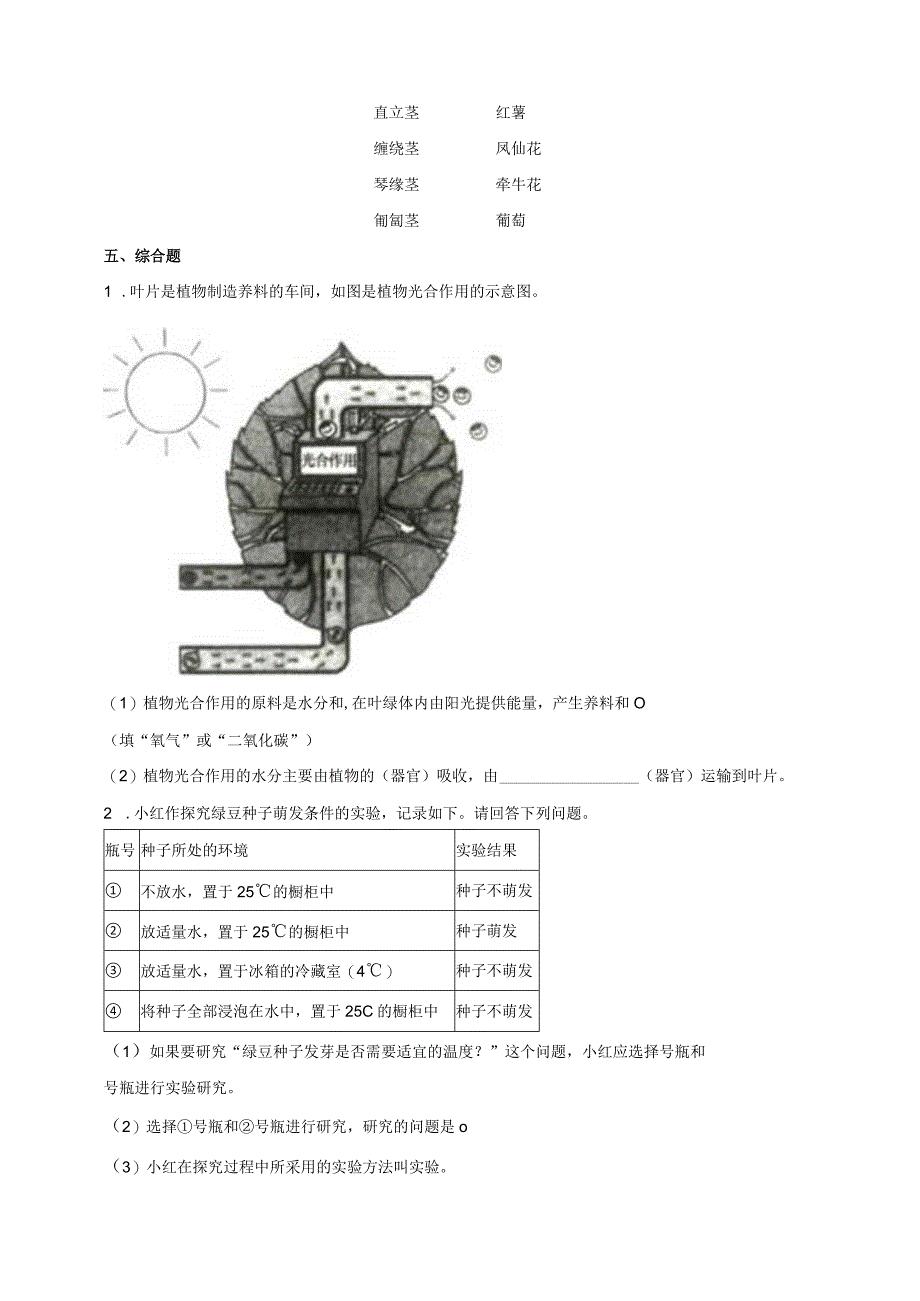 教科版四年级科学下册14茎和叶作业设计.docx_第2页