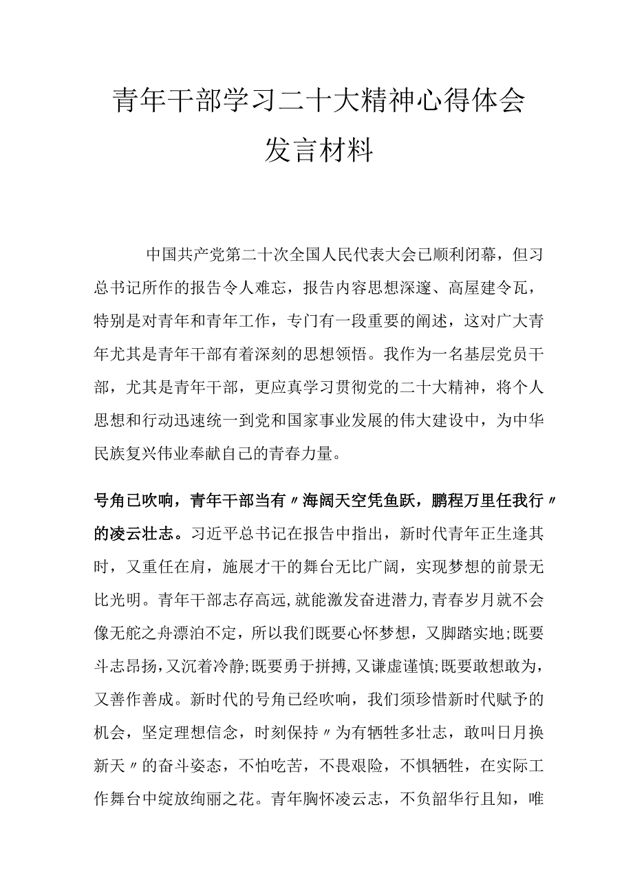 青年干部学习二十大精神心得体会发言材料.docx_第1页