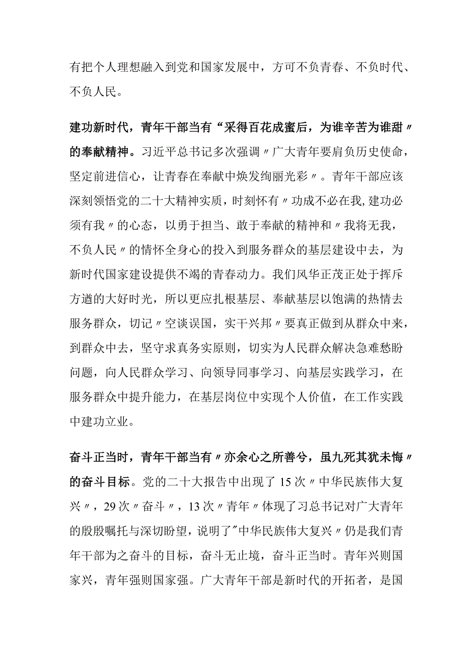 青年干部学习二十大精神心得体会发言材料.docx_第2页