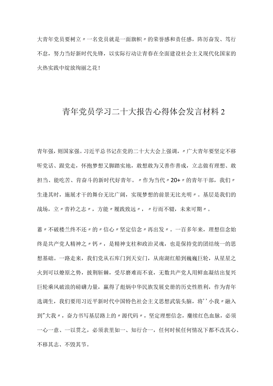 青年党员学习二十大报告心得体会发言材料5篇.docx_第3页