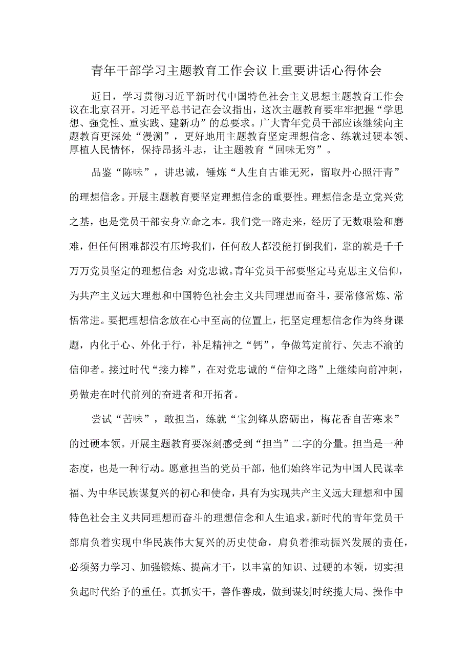 青年干部学习主题教育工作会议上重要讲话心得体会.docx_第1页