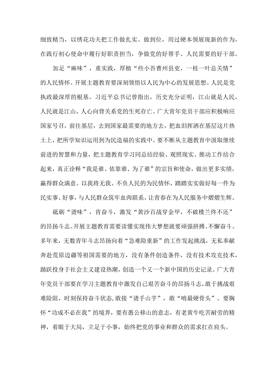 青年干部学习主题教育工作会议上重要讲话心得体会.docx_第2页