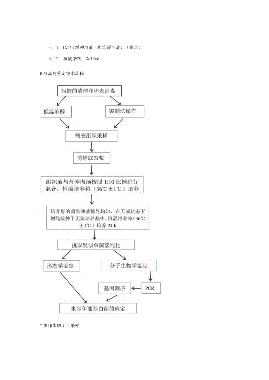 黑斑侧褶黑斑蛙米尔伊丽莎白菌分离鉴定技术规范.docx_第3页