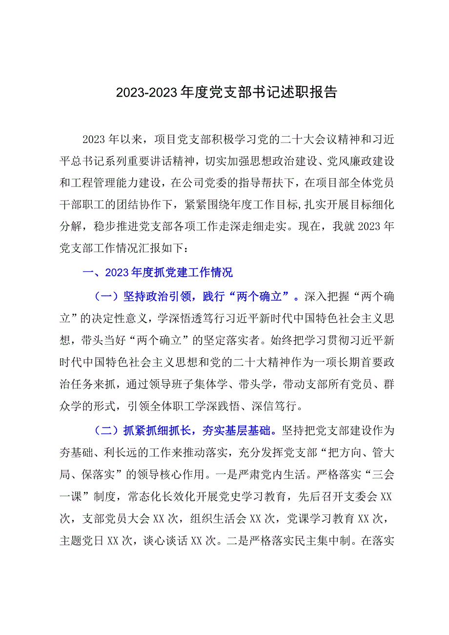 20232023年度党支部书记述职报告.docx_第1页