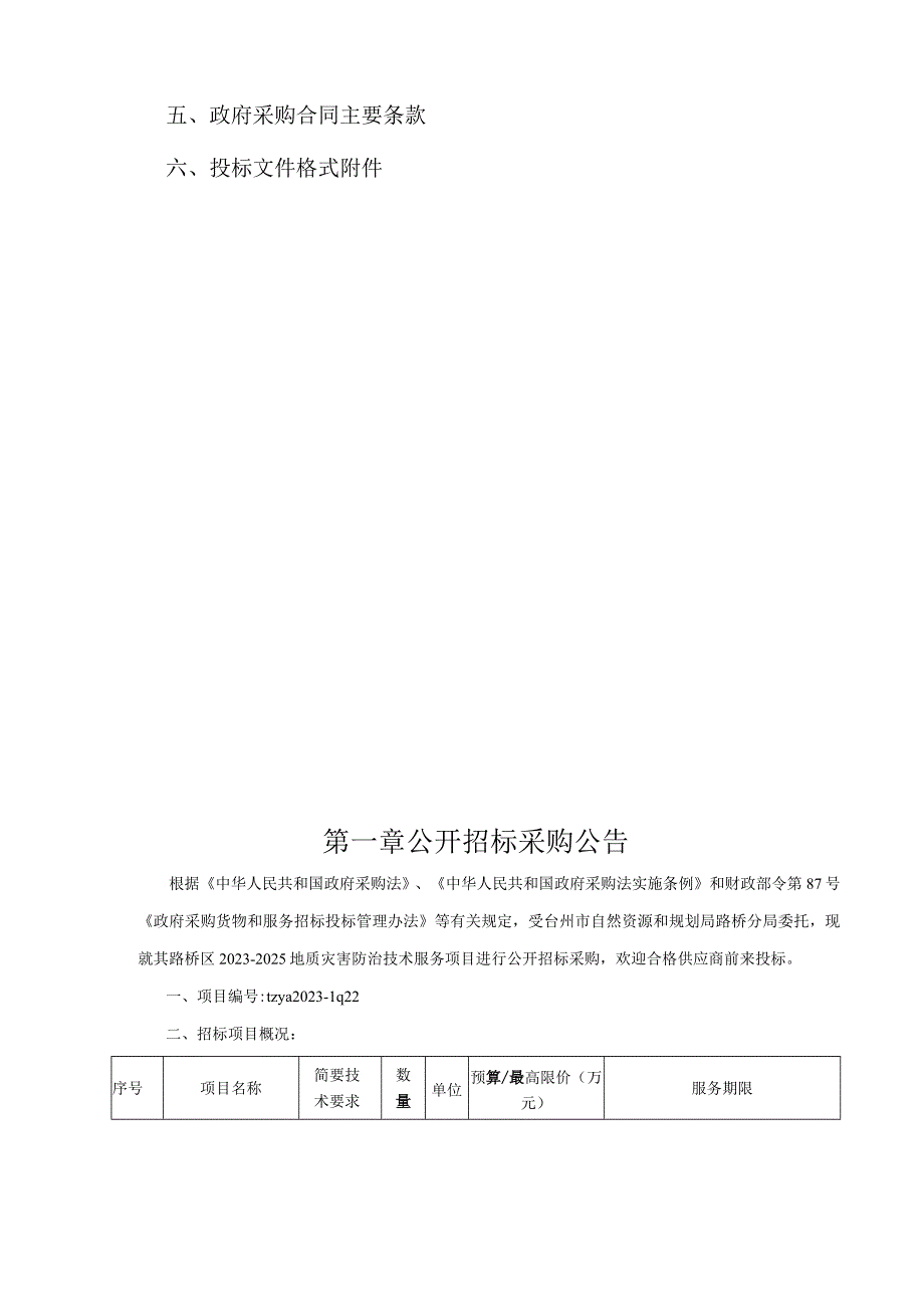 20232025地质灾害防治技术服务项目招标文件.docx_第2页