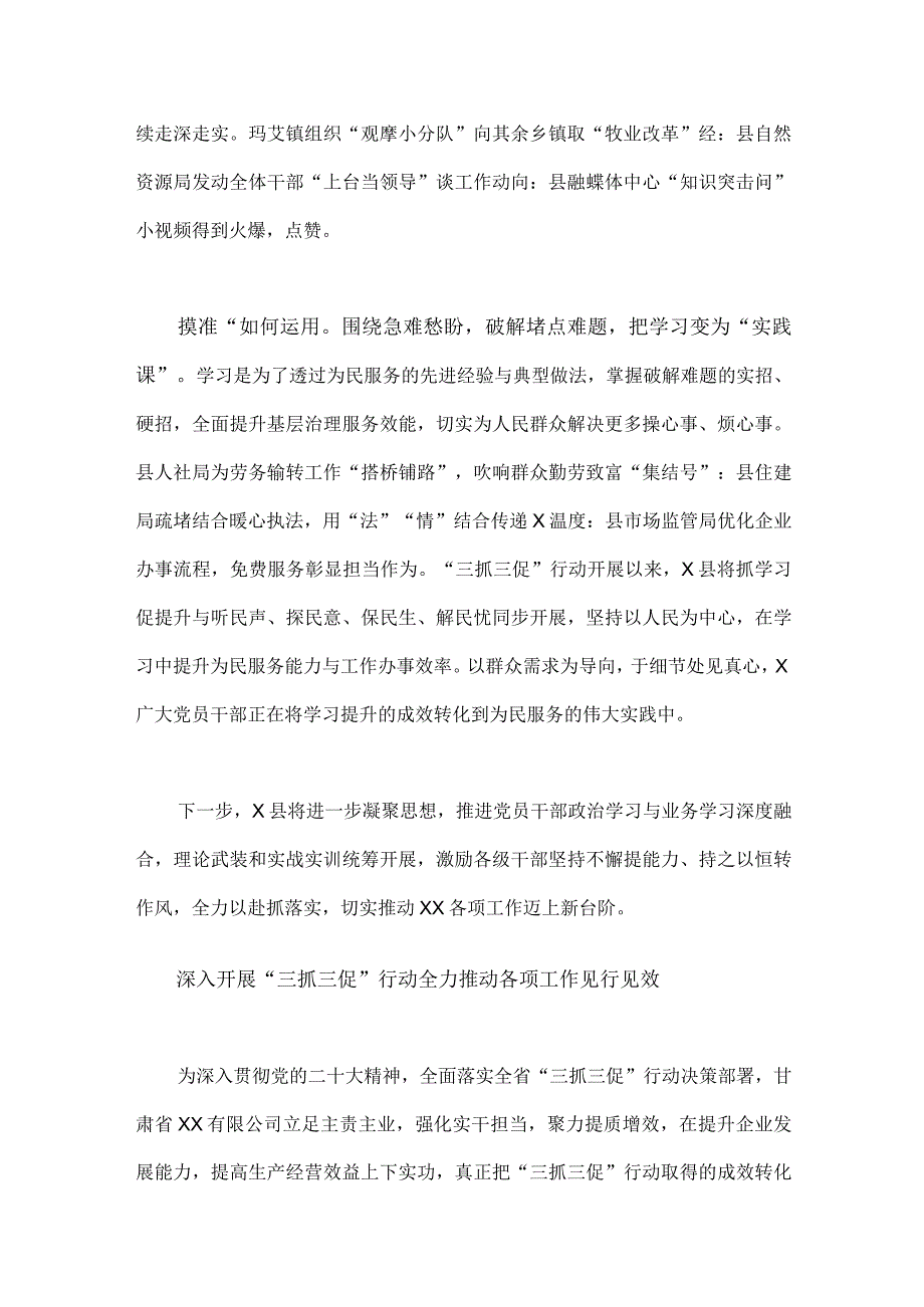 (2篇)深入开展三抓三促行动情况总结典型经验材料2023年供参考.docx_第3页