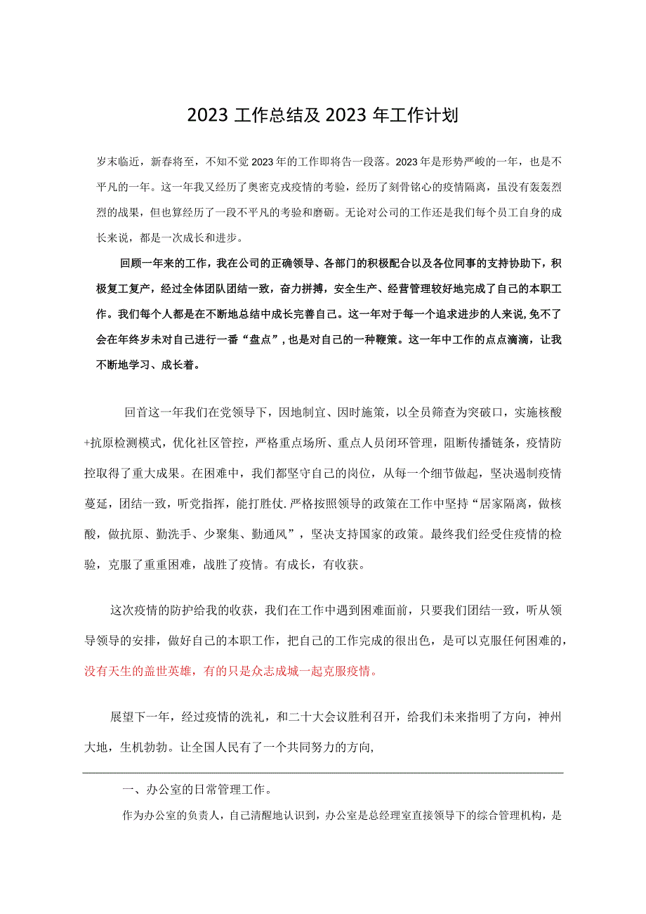 2023工作总结和2023年工作计划阿里集团模板参考.docx_第1页