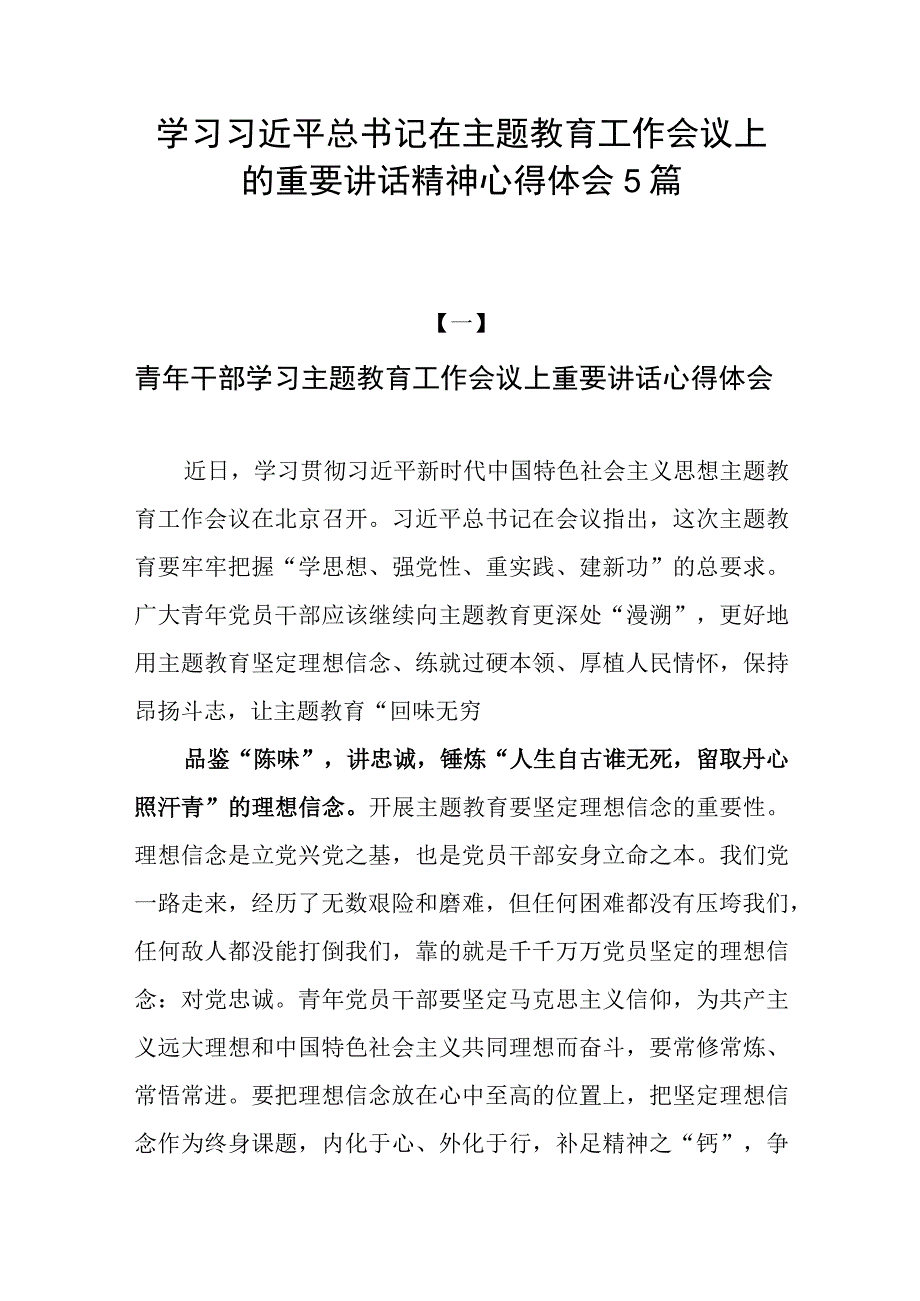 2023年下半年党员领导干部青年学习主题教育工作会议上重要讲话心得体会研讨发言5篇.docx_第1页