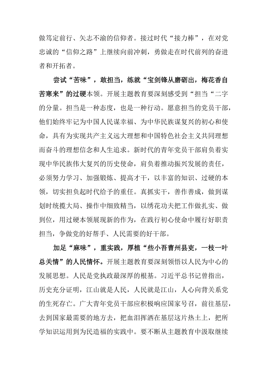 2023年下半年党员领导干部青年学习主题教育工作会议上重要讲话心得体会研讨发言5篇.docx_第2页