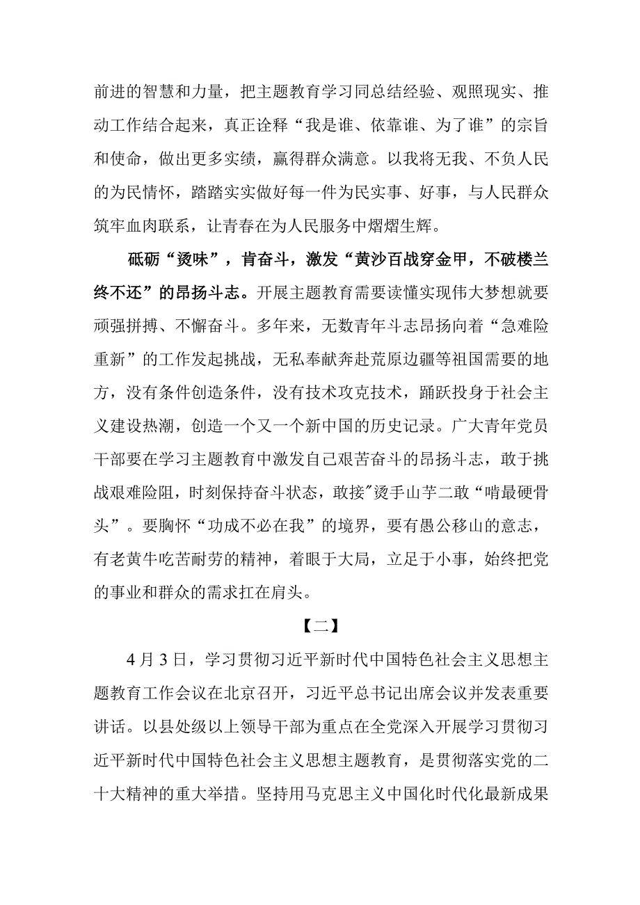 2023年下半年党员领导干部青年学习主题教育工作会议上重要讲话心得体会研讨发言5篇.docx_第3页