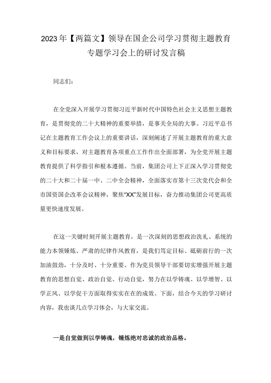 2023年两篇文领导在国企公司学习贯彻主题教育专题学习会上的研讨发言稿.docx_第1页