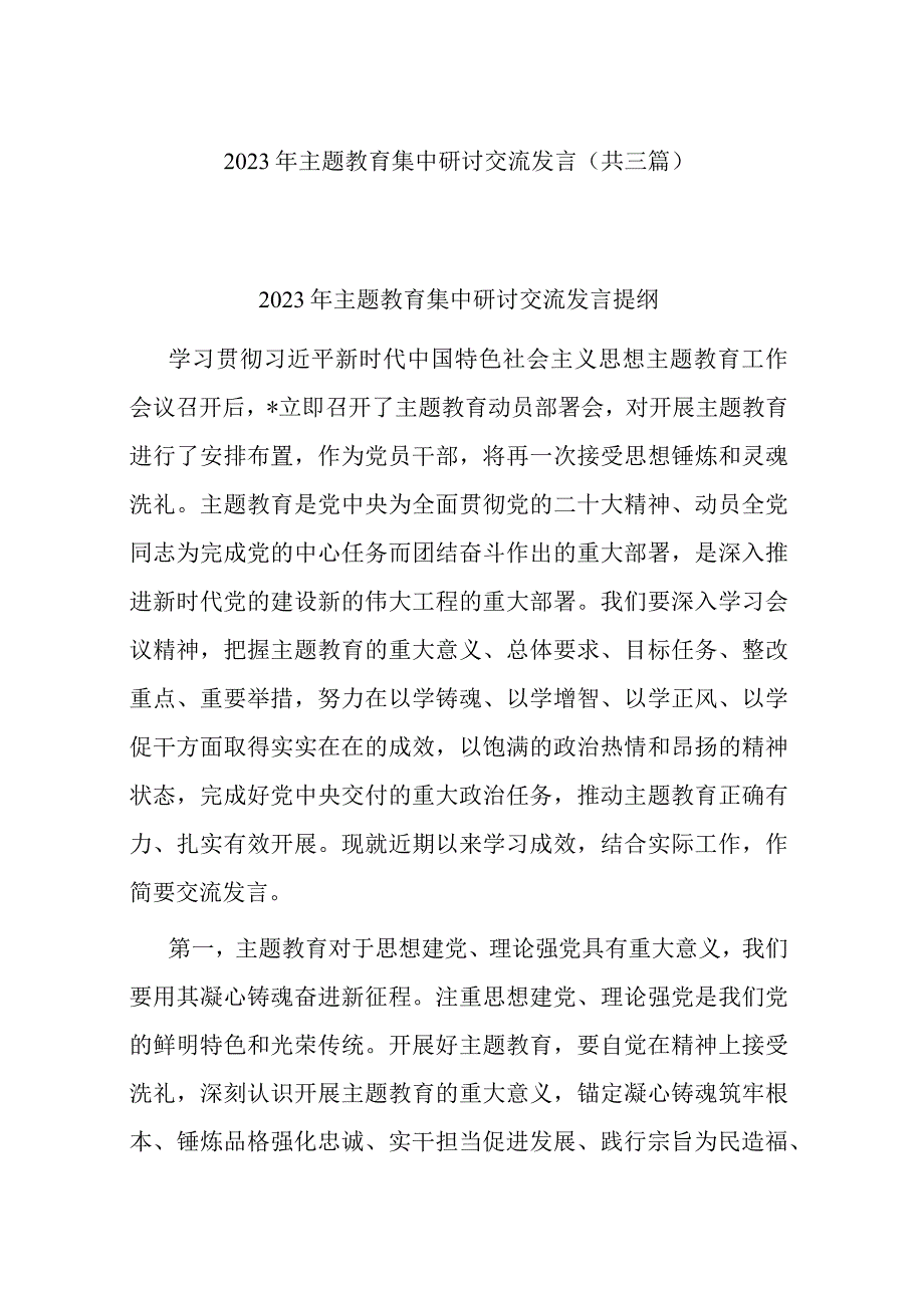 2023年主题教育集中研讨交流发言(共三篇).docx_第1页