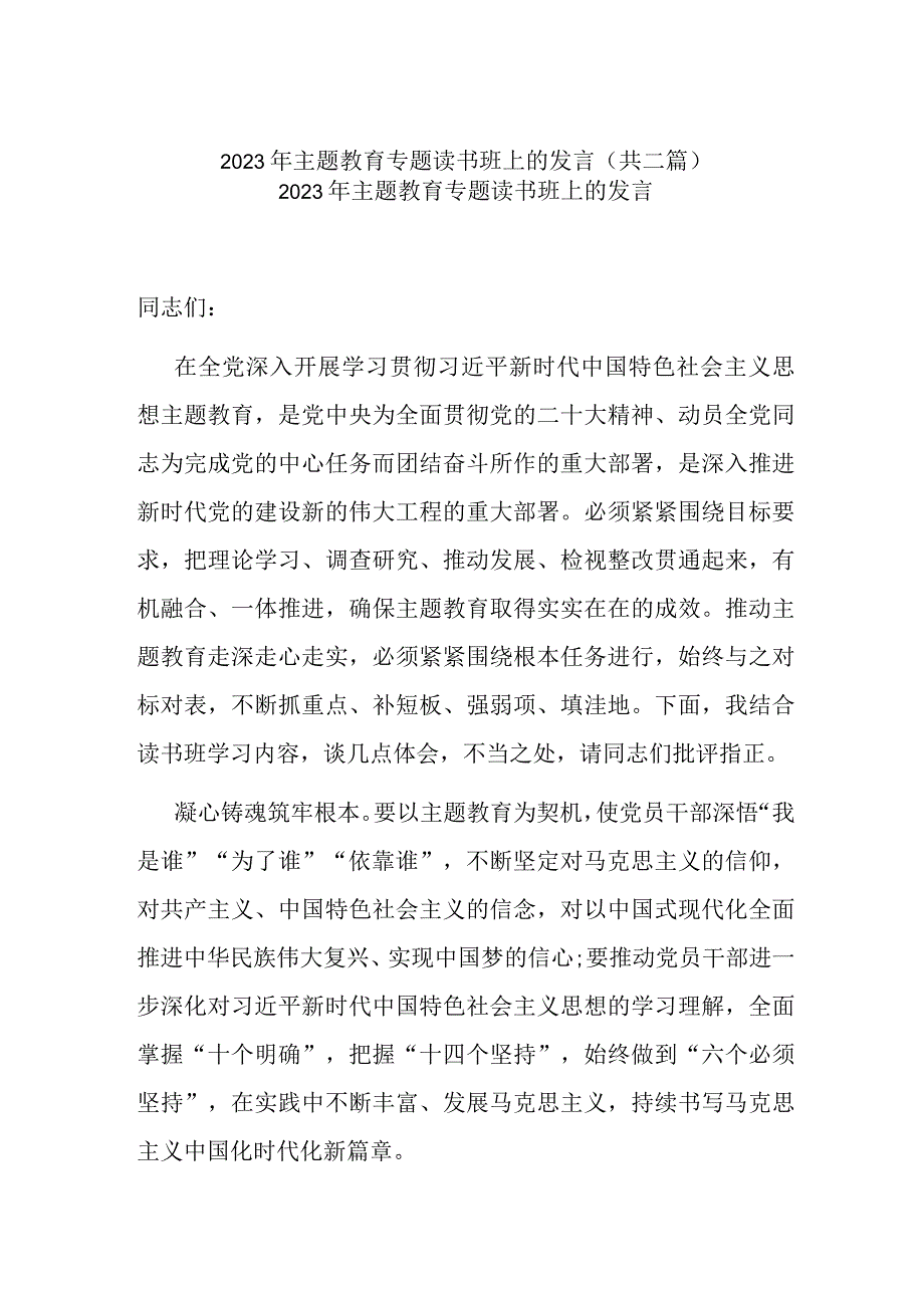 2023年主题教育专题读书班上的发言(共二篇).docx_第1页