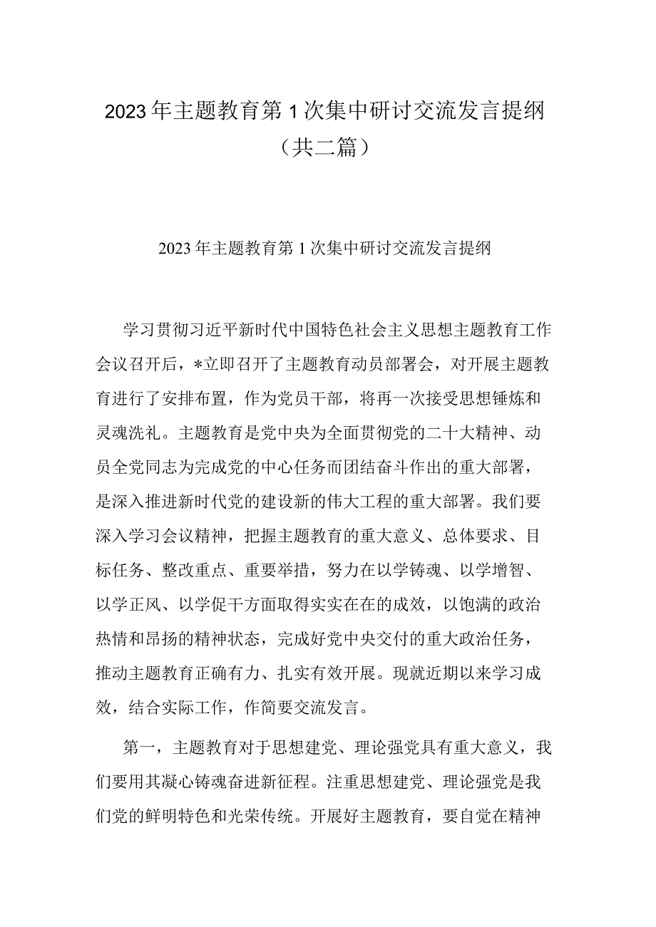 2023年主题教育第1次集中研讨交流发言提纲共二篇.docx_第1页