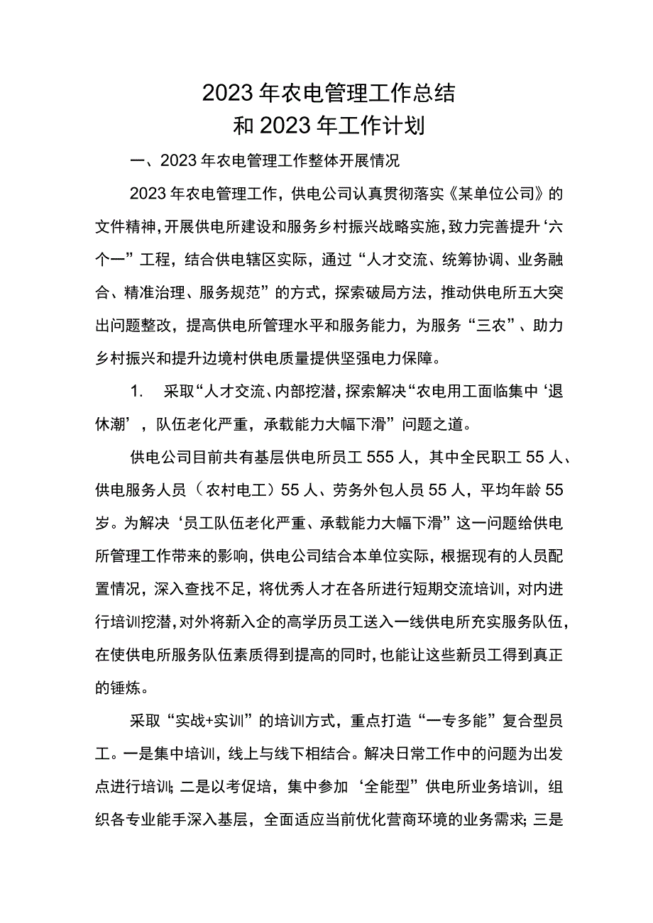 2023年农电管理工作总结.docx_第1页