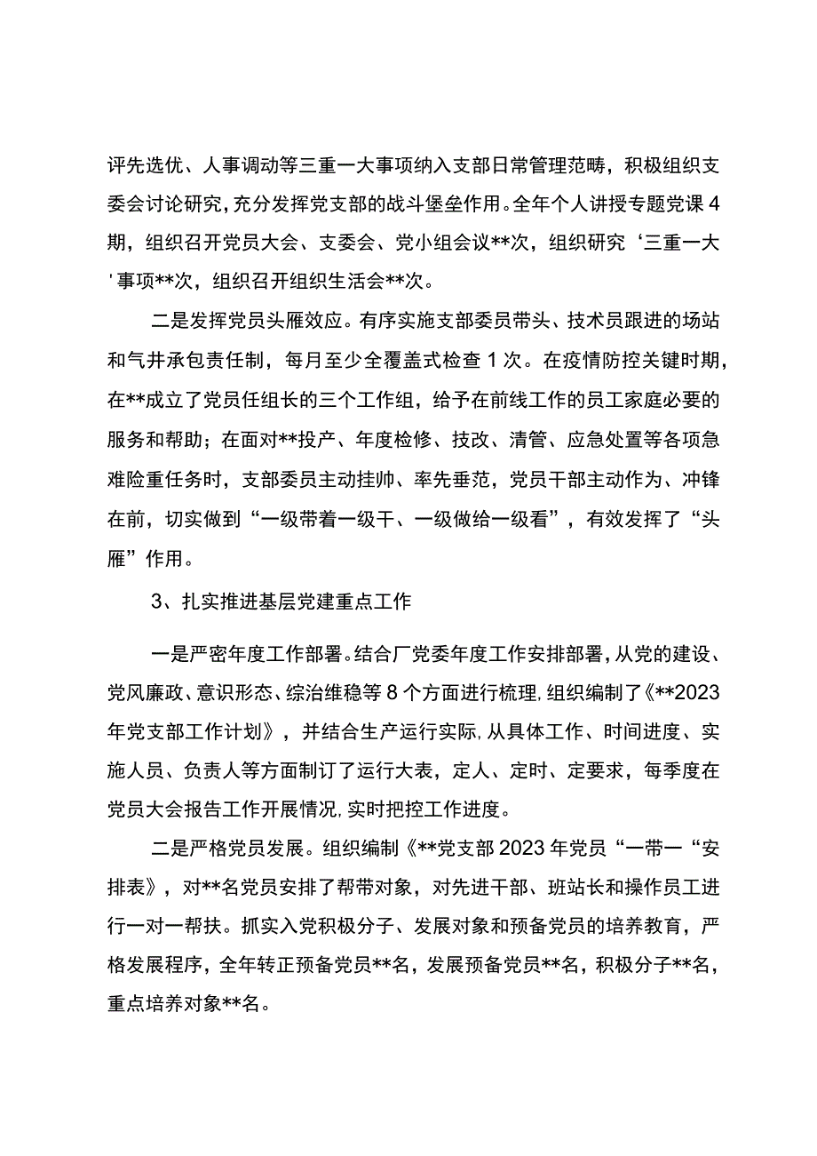 2023年党支部书记抓基层党建工作述职报告修改稿.docx_第2页