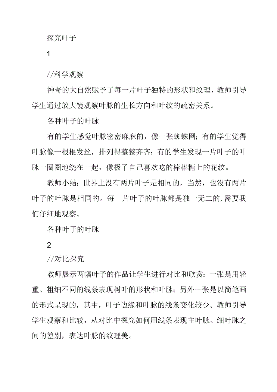 2023年叶子的故事教学设计.docx_第3页