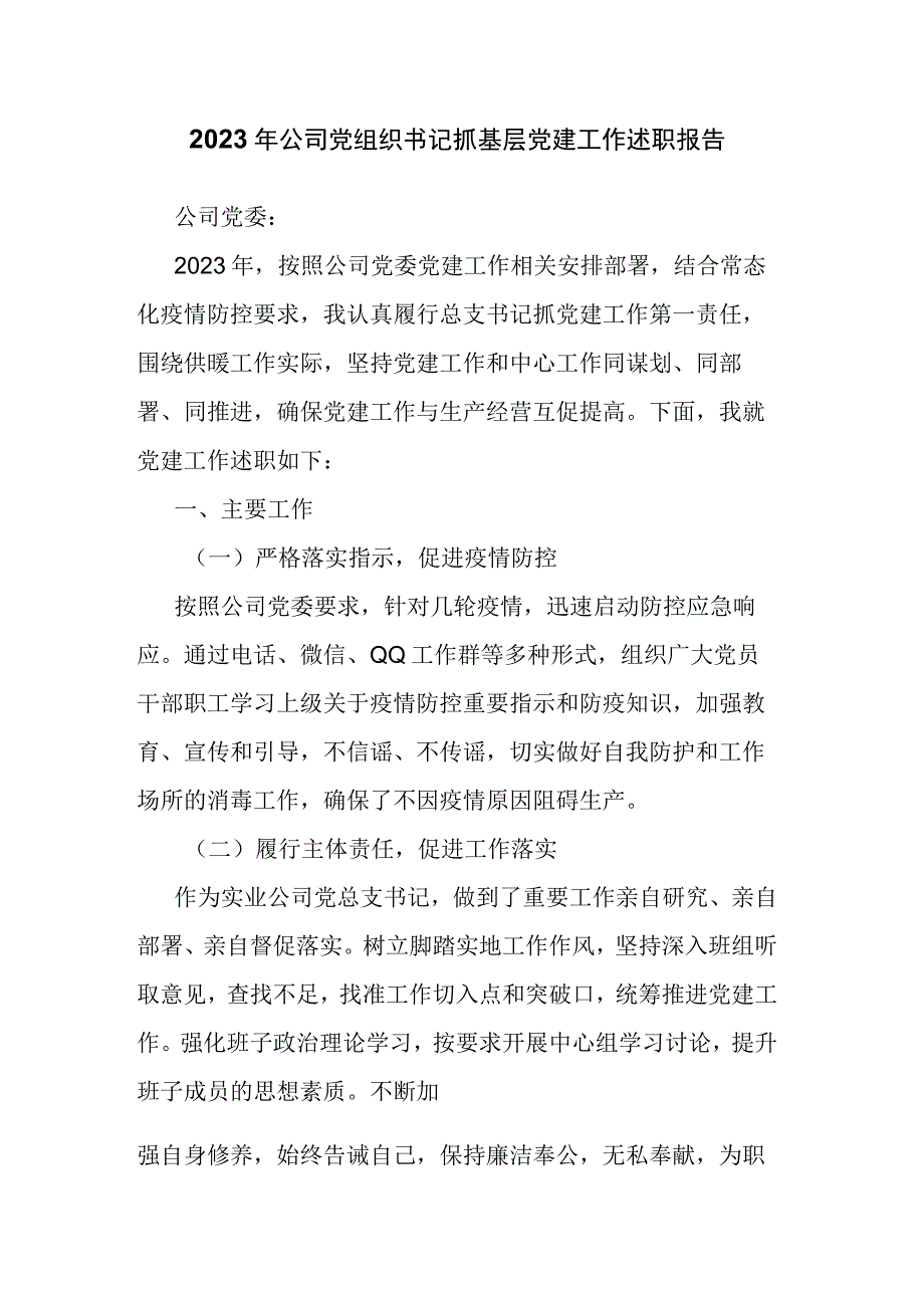 2023年公司党组织书记抓基层党建工作述职报告.docx_第1页