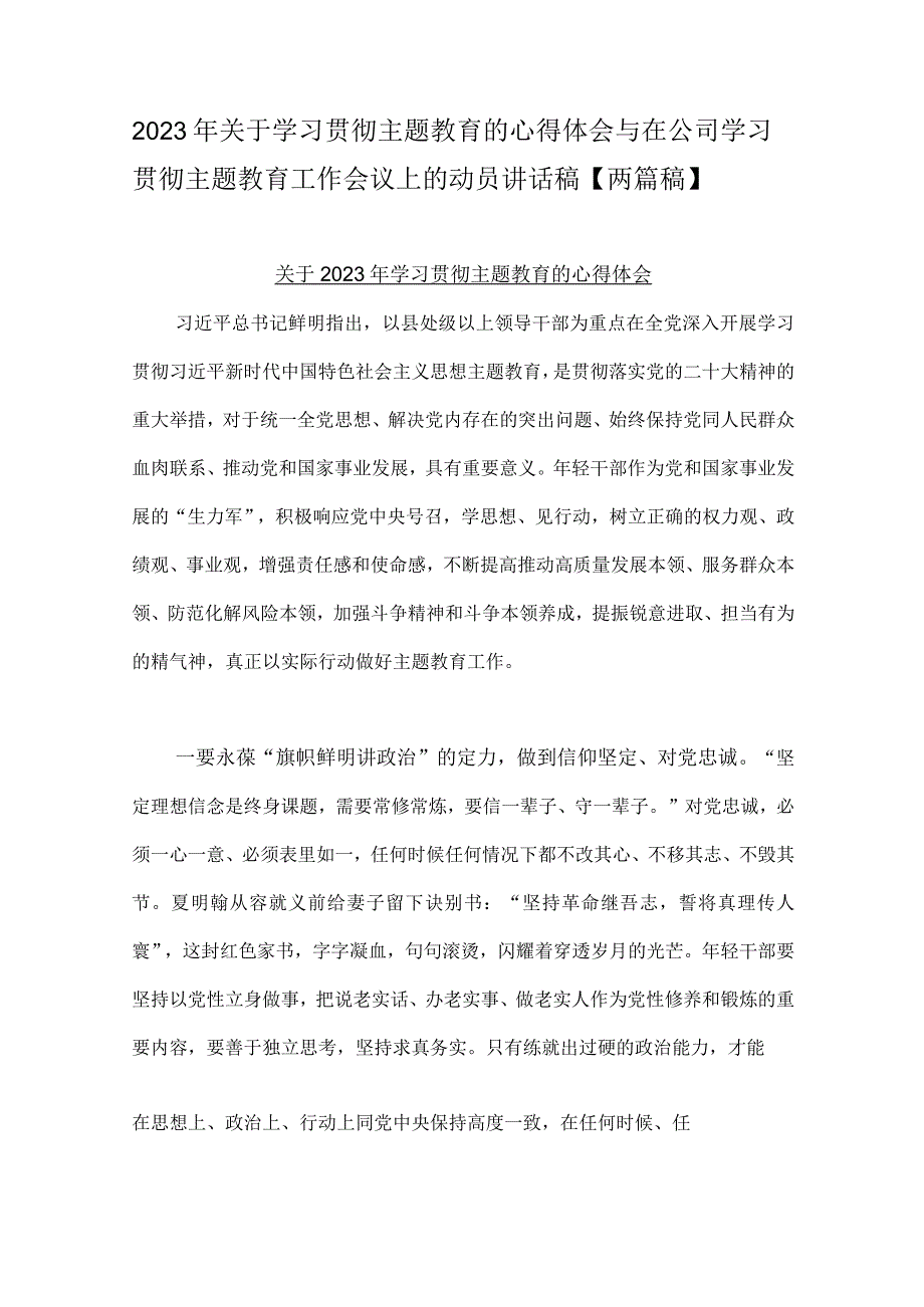 2023年关于学习贯彻主题教育的心得体会与在公司学习贯彻主题教育工作会议上的动员讲话稿两篇稿.docx_第1页