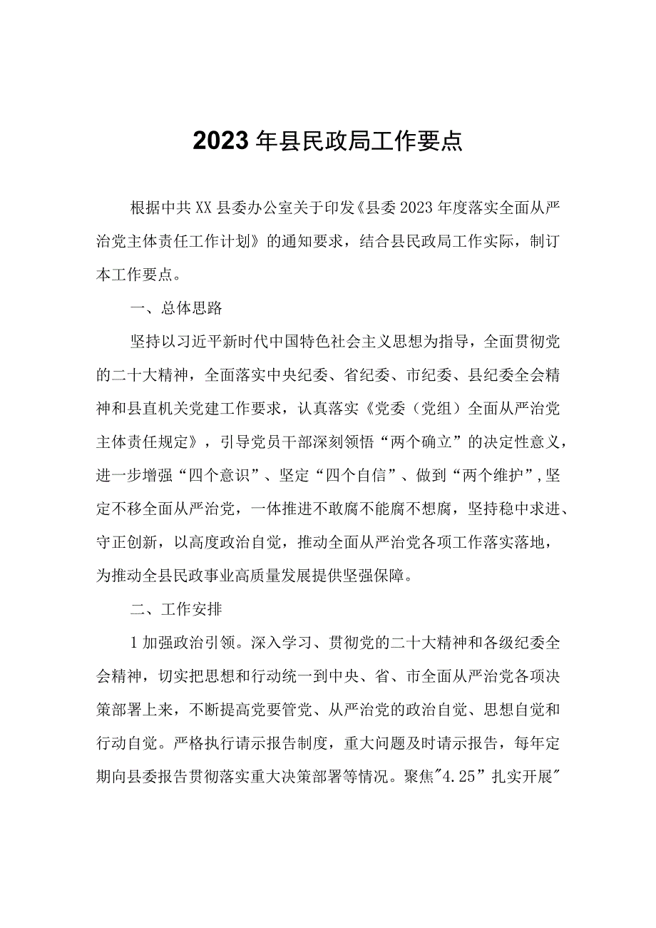 2023年县民政局工作要点.docx_第1页