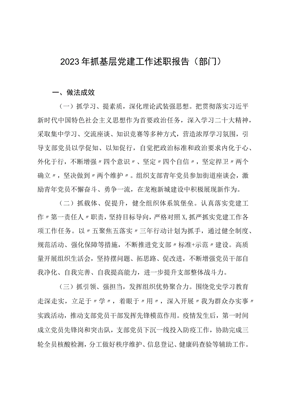 2023年抓基层党建工作述职报告部门.docx_第1页