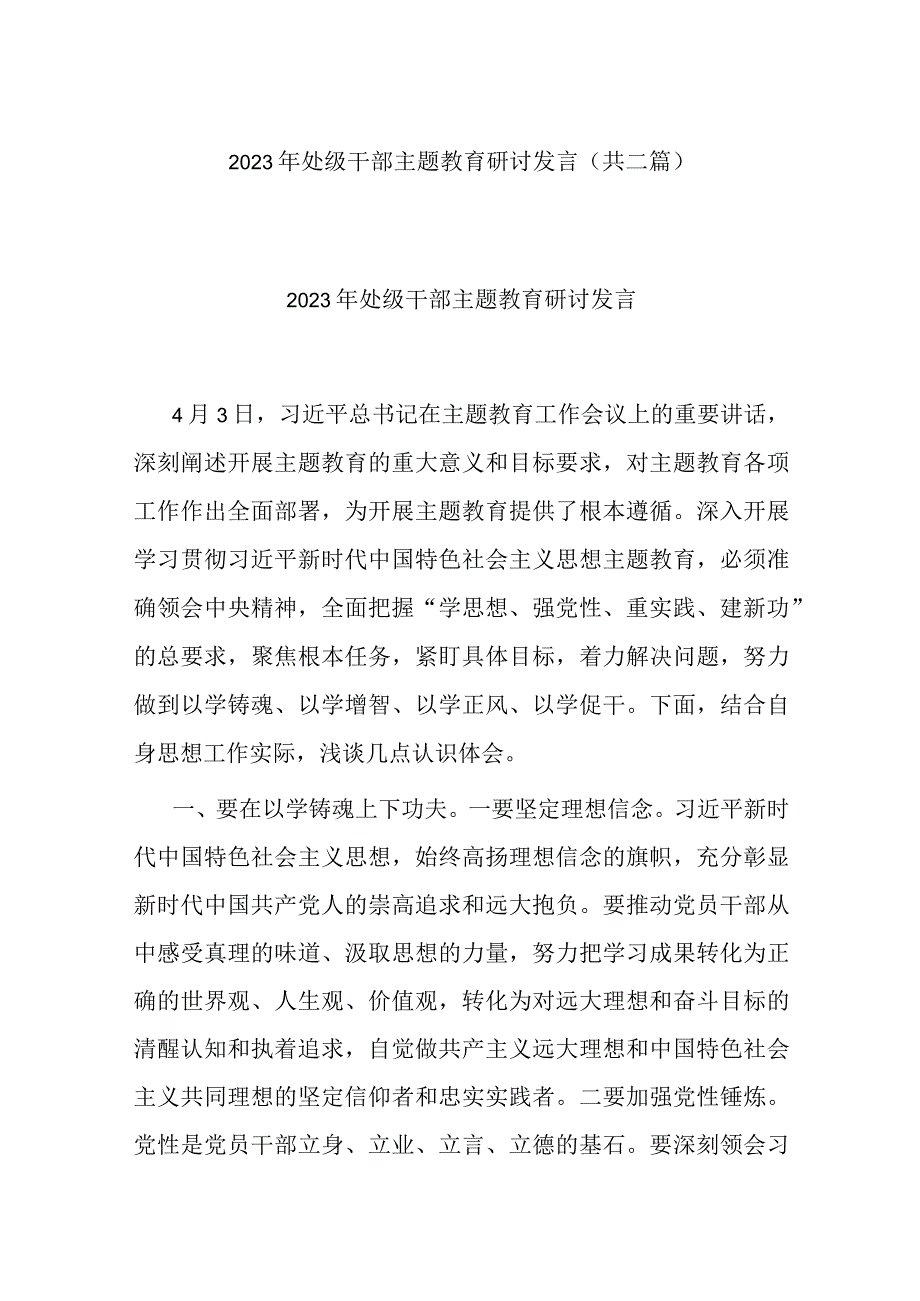 2023年处级干部主题教育研讨发言(共二篇).docx_第1页