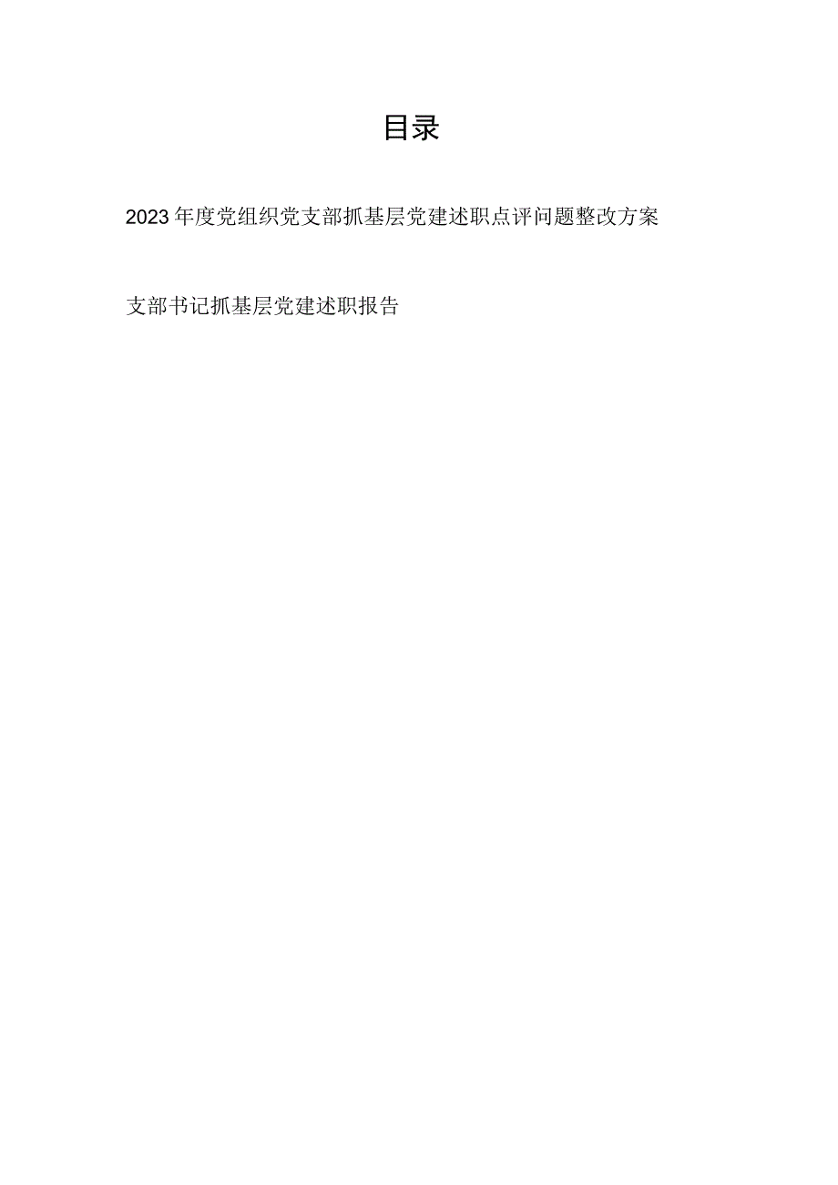 2023年度党组织党支部抓基层党建述职点评问题整改方案和支部书记抓基层党建述职报告.docx_第1页