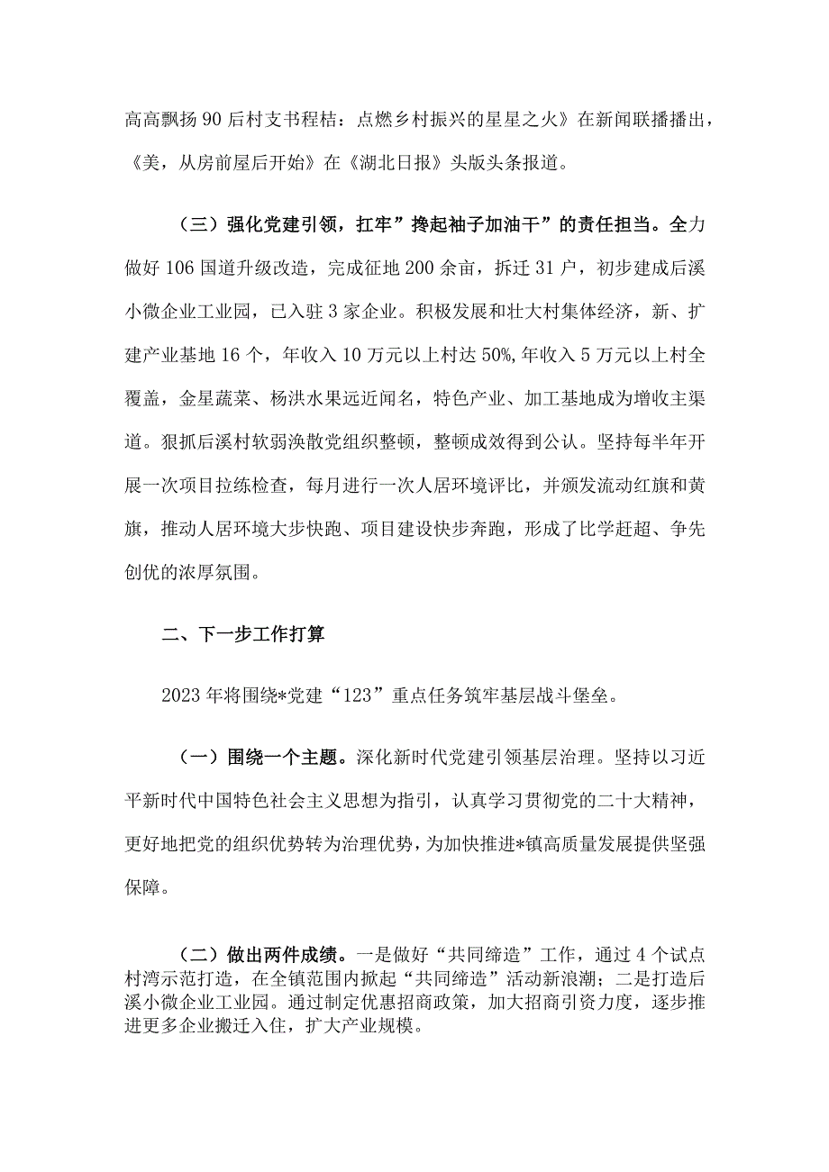 2023年度基层党建工作述职报告.docx_第2页