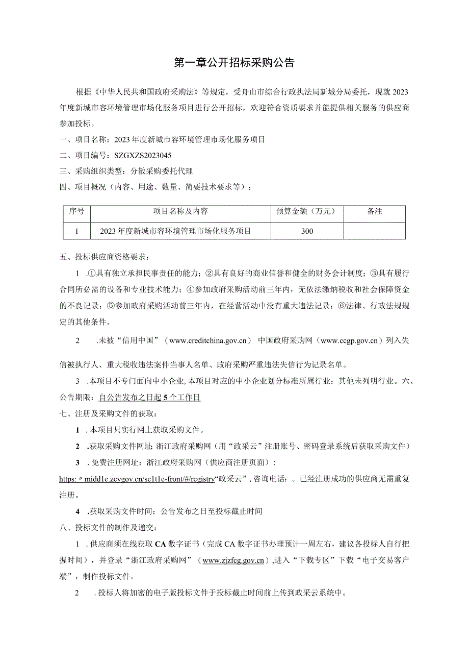 2023年度新城市容环境管理市场化服务项目招标文件.docx_第2页