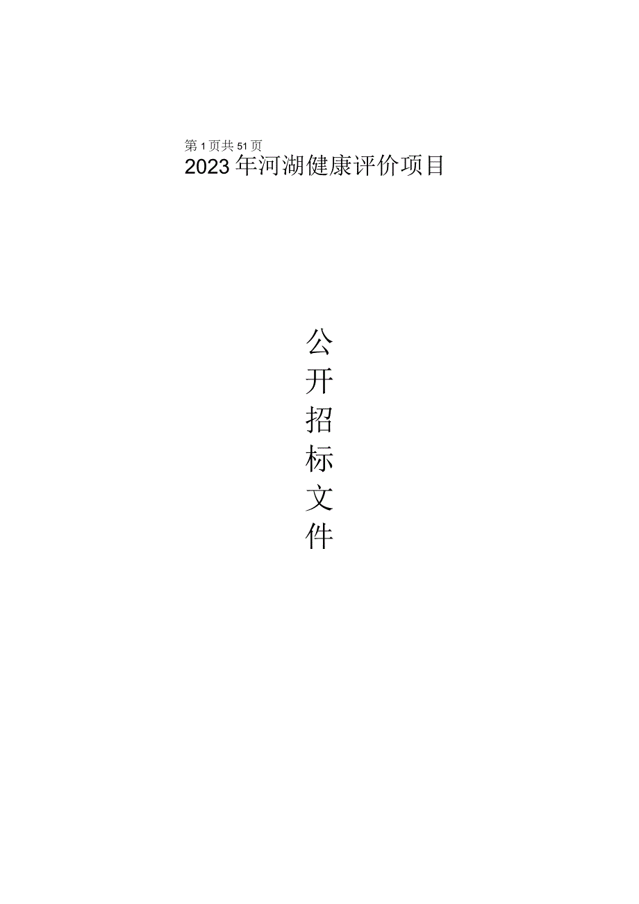 2023年河湖健康评价项目招标文件.docx_第1页