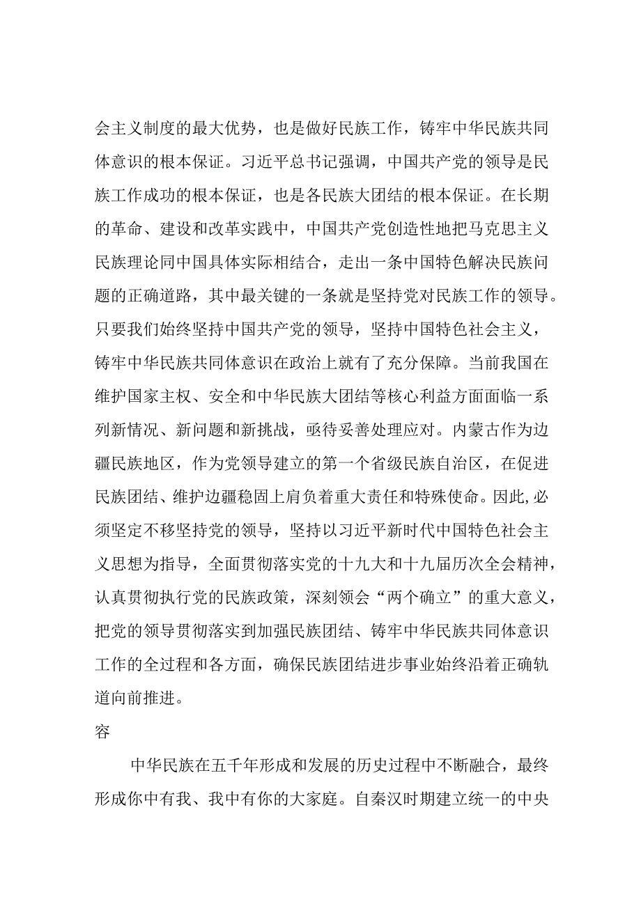 2023年整理关于铸牢中华民族共同体意识研讨发言5篇.docx_第2页