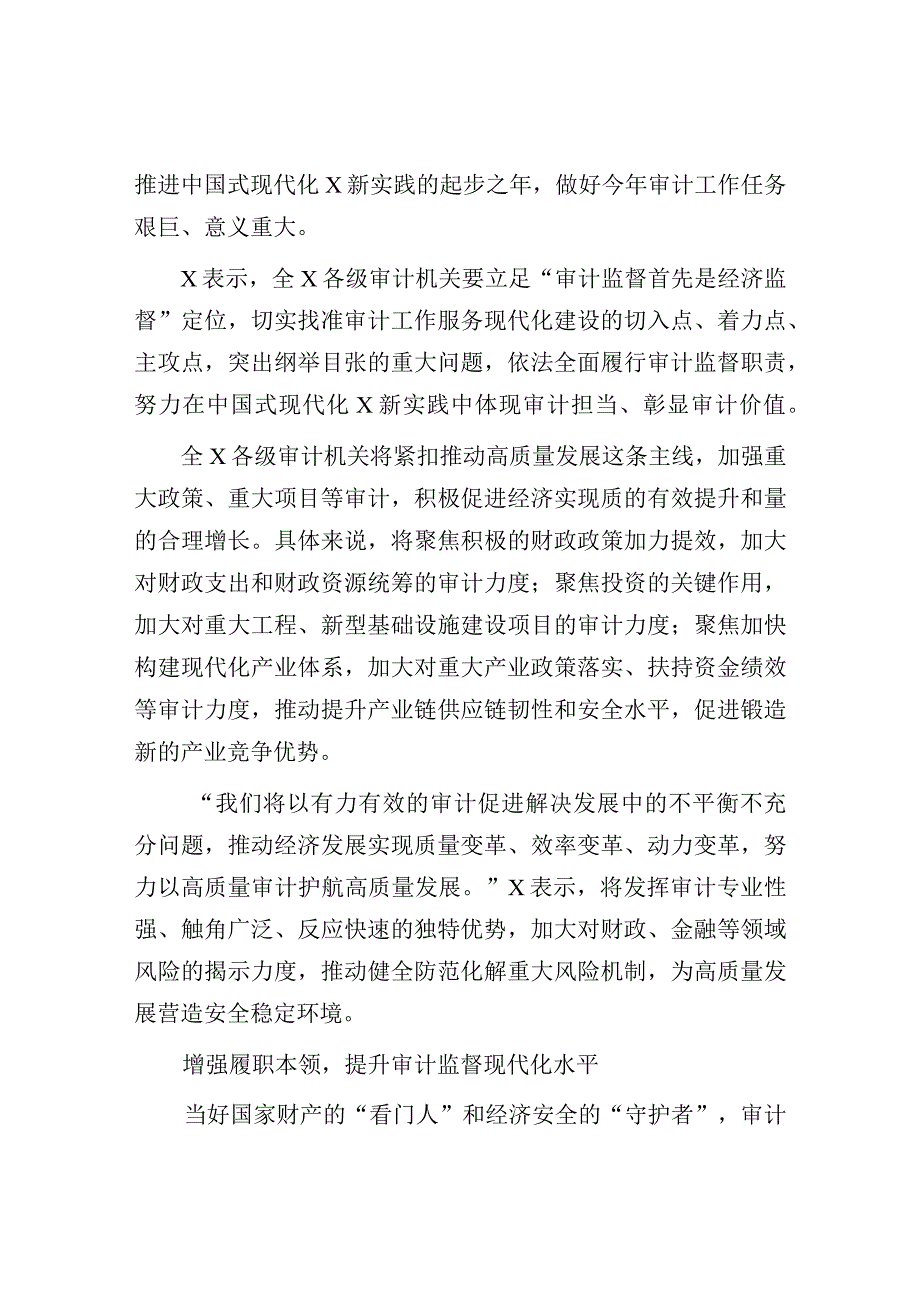 2023年高质量审计经验材料：以高质量审计护航高质量发展.docx_第3页