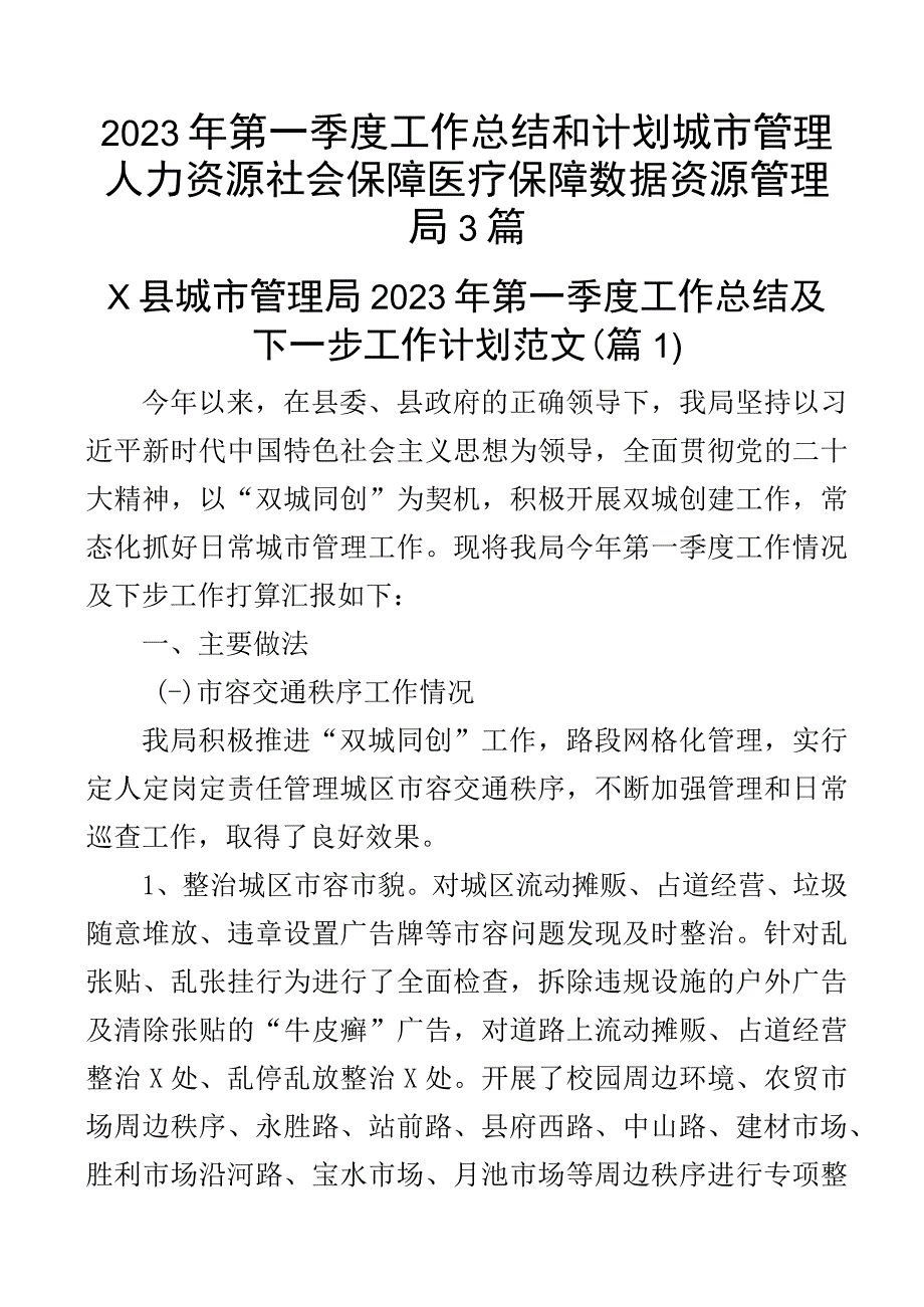 2023年第一季度工作总结和计划城市管理人力资源社会保障医疗保障数据资源管理局3篇.docx_第1页