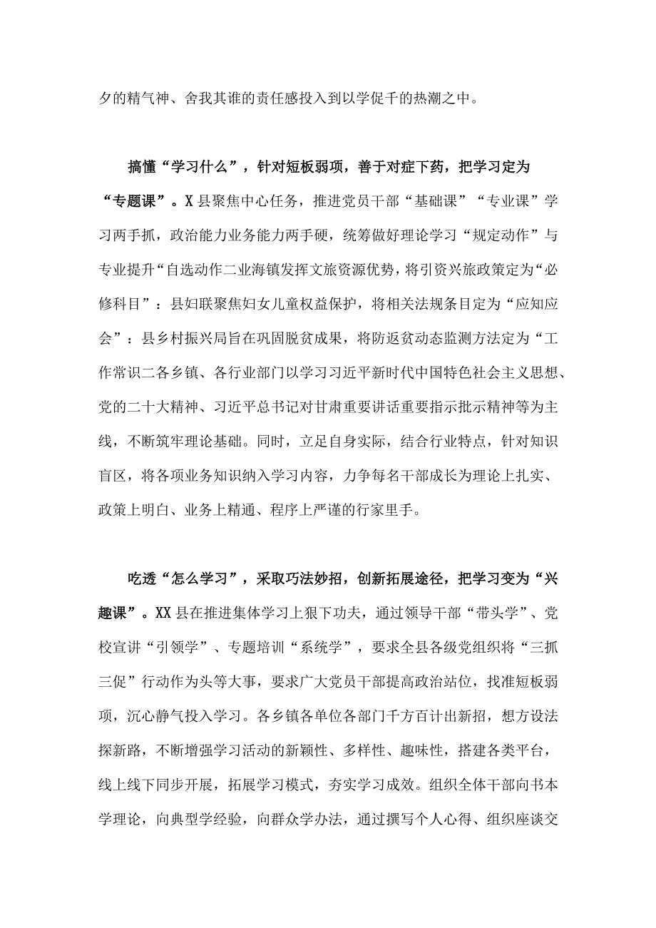 2023年深入开展三抓三促行动情况总结典型经验材料(2篇)汇编.docx_第2页