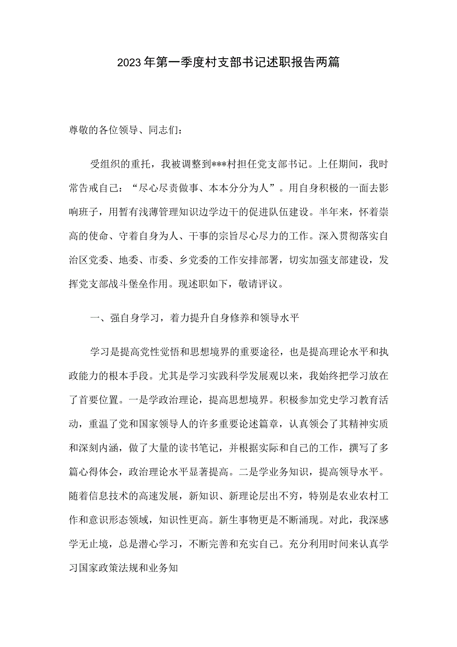 2023年第一季度村支部书记述职报告两篇.docx_第1页