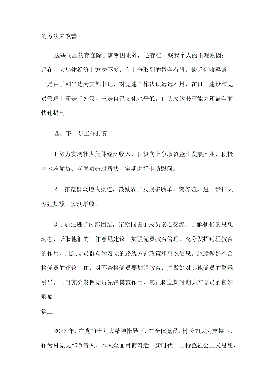 2023年第一季度村支部书记述职报告两篇.docx_第3页