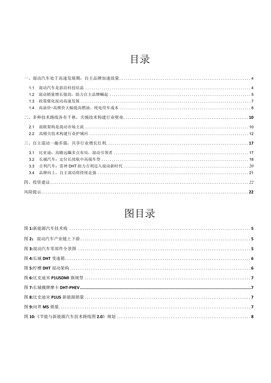 2023年混动汽车行业深度报告word：自主混动增长强劲2023年有望持续放量.docx_第1页