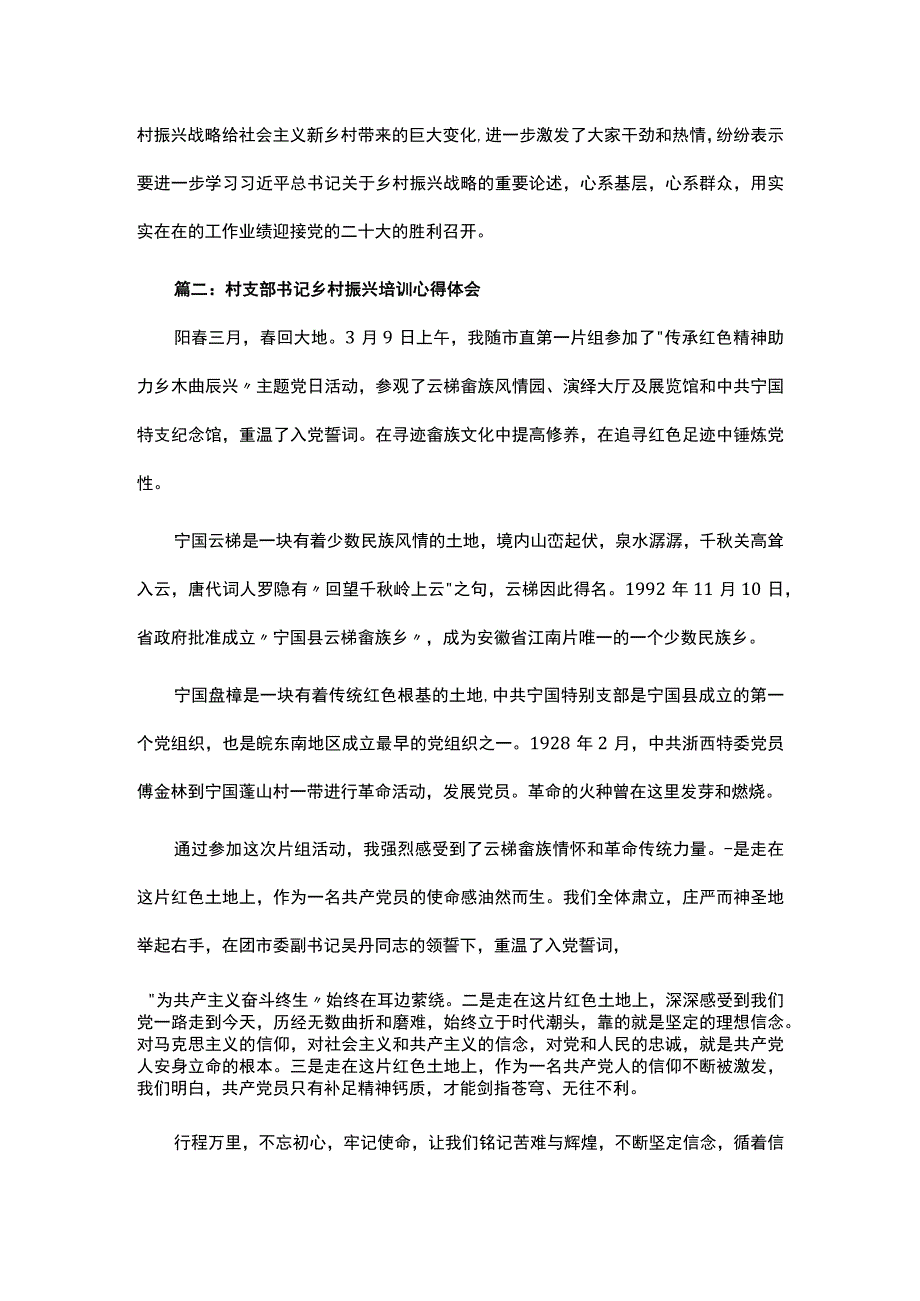 2023村支部书记乡村振兴培训心得体会范文精选.docx_第2页