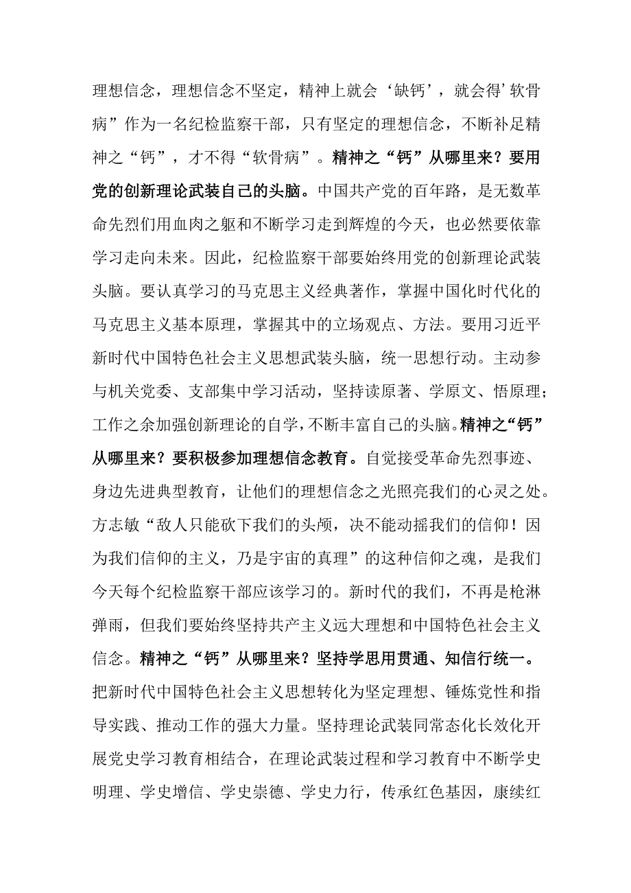 2023纪检监察干部队伍教育整顿研讨发言学习有感材料共5篇.docx_第2页