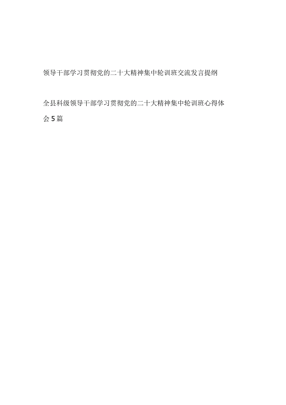 2023领导干部学习贯彻党的二十大精神集中轮训班交流发言提纲和学习心得体会汇编.docx_第1页