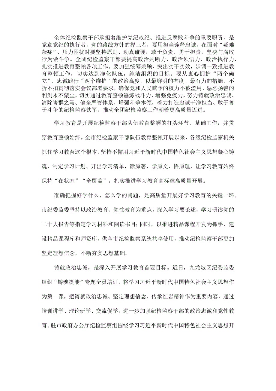 3篇2023年纪检监察干部队伍纪律教育整顿个人讲话及心得.docx_第2页